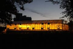 greenhouse-night