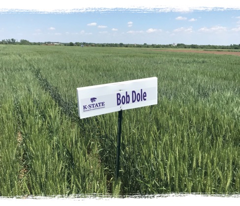 Bob Dole Research Field